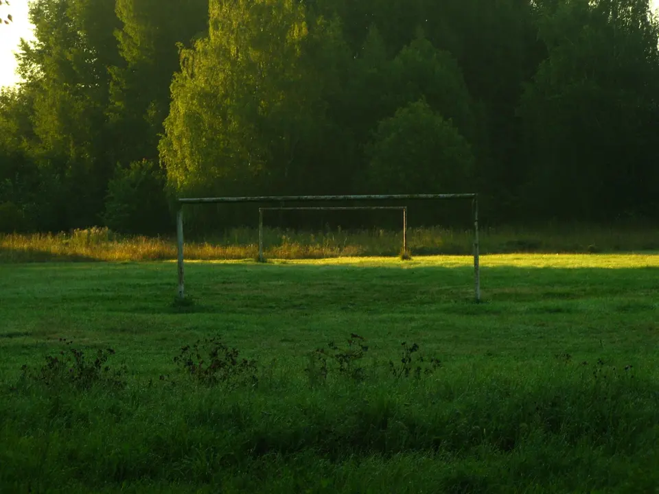 Teren de fotbal pe iarbă